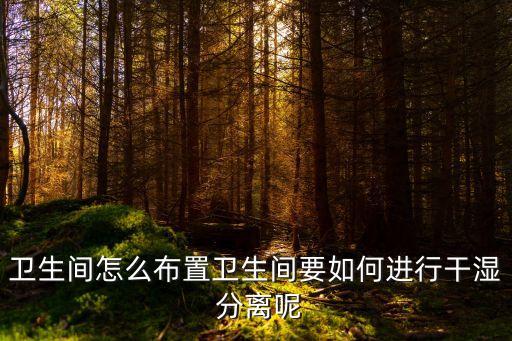 衛(wèi)生間怎么布置衛(wèi)生間要如何進(jìn)行干濕 分離呢