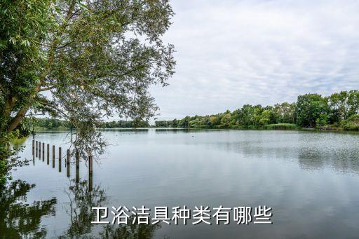  衛(wèi)浴潔具種類有哪些