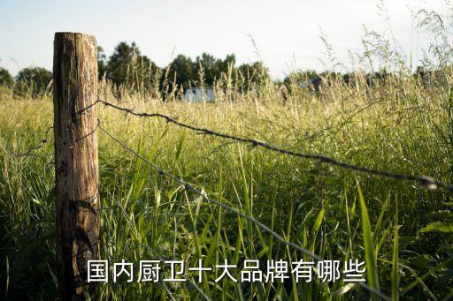 國內(nèi)廚衛(wèi)十大品牌有哪些