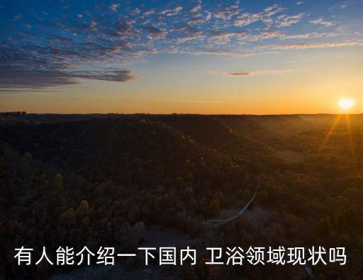 有人能介紹一下國內(nèi) 衛(wèi)浴領(lǐng)域現(xiàn)狀嗎