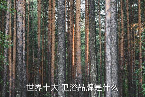 世界十大 衛(wèi)浴品牌是什么