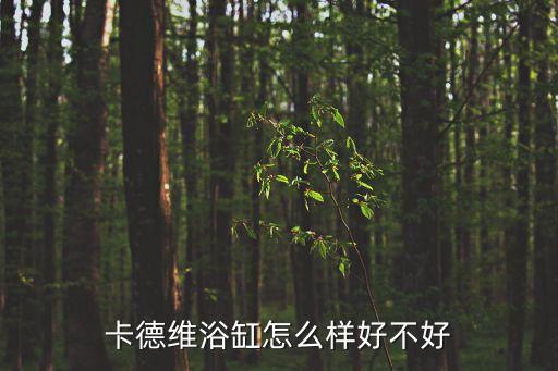 卡德維浴缸怎么樣好不好