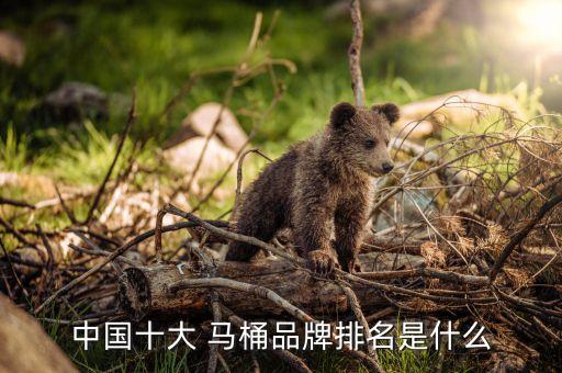 中國(guó)十大 馬桶品牌排名是什么