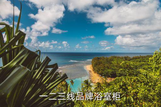 一二三線品牌浴室柜