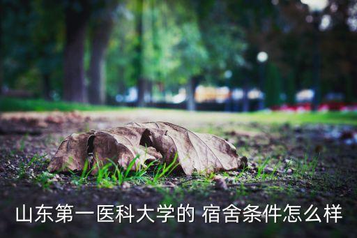 新醫(yī)大宿舍衛(wèi)浴價(jià)格表圖片