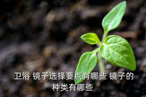  衛(wèi)浴 鏡子選擇要點(diǎn)有哪些 鏡子的種類有哪些