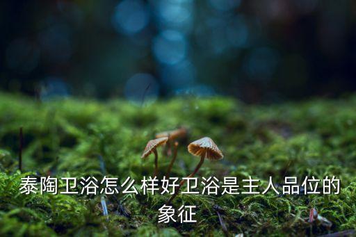  泰陶衛(wèi)浴怎么樣好衛(wèi)浴是主人品位的象征