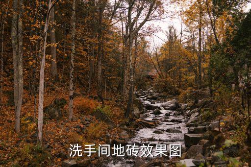 衛(wèi)浴菱形墻磚圖片欣賞