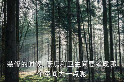 裝修的時候, 廚房和衛(wèi)生間要考慮哪個空間大一點呢