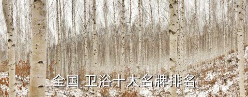 衛(wèi)浴柜品牌盆柜排行榜