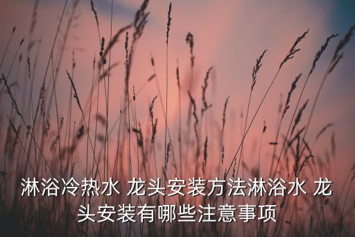 衛(wèi)浴花灑龍頭安裝圖片大全