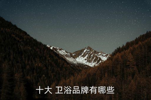 衛(wèi)浴品牌都有什么牌子,casero衛(wèi)浴什么品牌