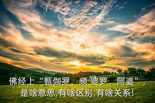 佛經(jīng)上“甄伽羅、頻 婆羅、阿婆”,是啥意思,有啥區(qū)別,有啥關(guān)系!