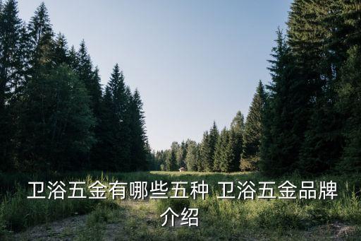  衛(wèi)浴五金有哪些五種 衛(wèi)浴五金品牌介紹