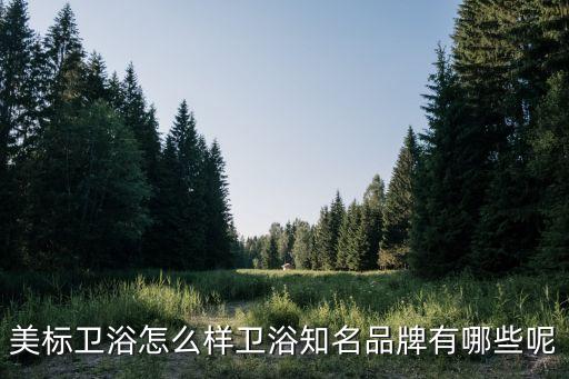 美標(biāo)衛(wèi)浴怎么樣衛(wèi)浴知名品牌有哪些呢