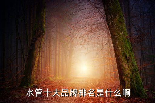  水管十大品牌排名是什么啊
