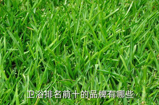 世界知名衛(wèi)浴品牌大全,廣東佛山衛(wèi)浴品牌大全廠家