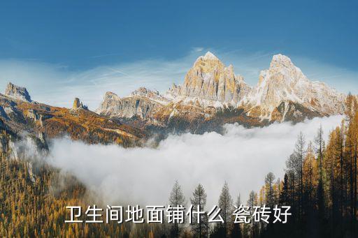 衛(wèi)浴瓷磚干濕區(qū)分圖片大全