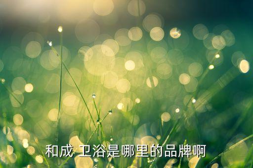和成 衛(wèi)浴是哪里的品牌啊