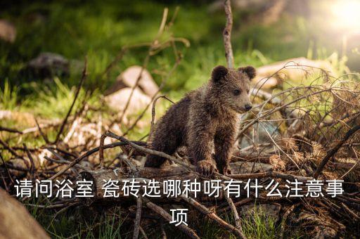 請(qǐng)問(wèn)浴室 瓷磚選哪種呀有什么注意事項(xiàng)