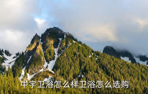 仁懷中宇衛(wèi)浴價格表圖片