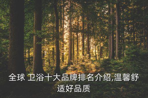 國際衛(wèi)浴推薦品牌有哪些,國際頂級衛(wèi)浴品牌排行榜