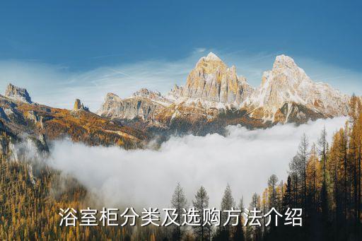 衛(wèi)浴柜立體金屬框圖片
