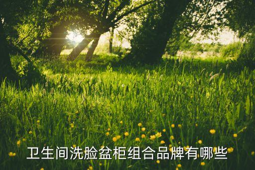 衛(wèi)浴柜定制圖片大全集圖,華藝衛(wèi)浴名片圖片大全集