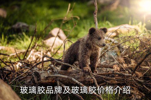 鄂州衛(wèi)浴專用膠批發(fā)電話