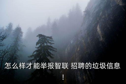 怎么樣才能舉報智聯(lián) 招聘的垃圾信息!