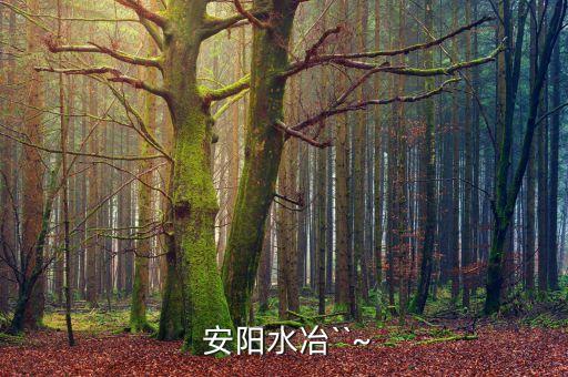  安陽水冶``~
