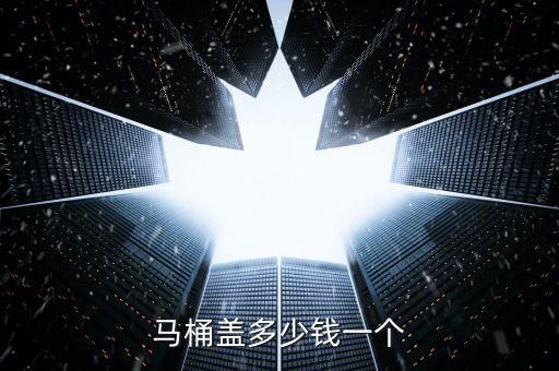 馬桶蓋多少錢一個(gè)