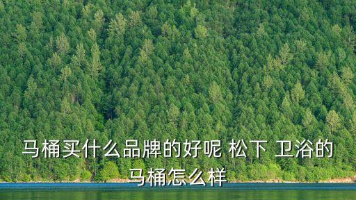 馬桶買什么品牌的好呢 松下 衛(wèi)浴的馬桶怎么樣