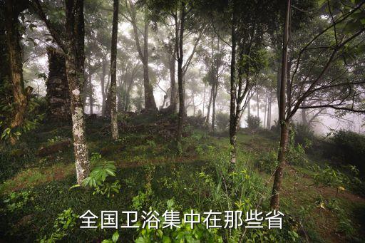 全國衛(wèi)浴集中在那些省