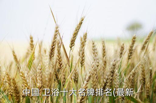 中國(guó) 衛(wèi)浴十大名牌排名(最新