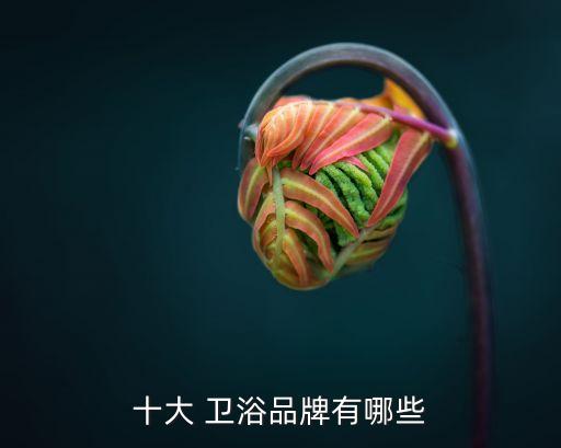 衛(wèi)浴玻璃水桶推薦品牌排行
