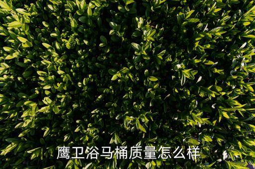 鷹衛(wèi)浴品牌的優(yōu)勢,新樂鷹衛(wèi)浴是品牌嗎