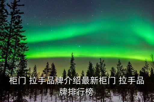 柜門(mén) 拉手品牌介紹最新柜門(mén) 拉手品牌排行榜