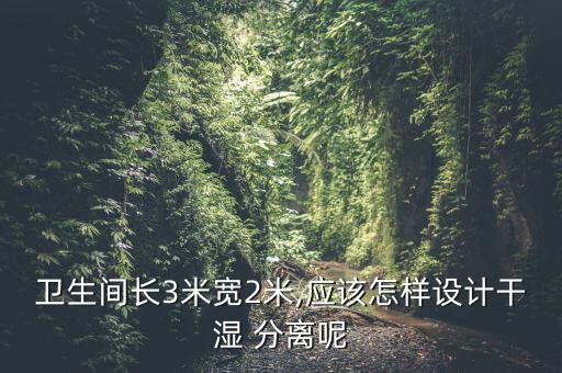 衛(wèi)生間長3米寬2米,應(yīng)該怎樣設(shè)計干濕 分離呢