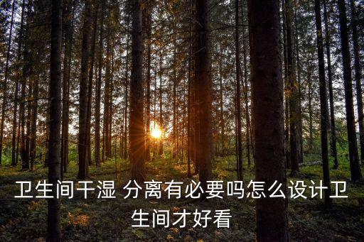 衛(wèi)浴徹底分離圖片大全大圖