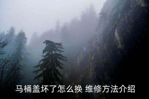  馬桶蓋壞了怎么換 維修方法介紹