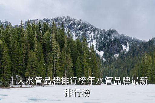 衛(wèi)浴軟管十大工業(yè)品牌