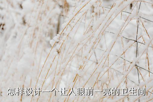 怎樣設(shè)計(jì)一個(gè)讓人眼前一亮的衛(wèi)生間