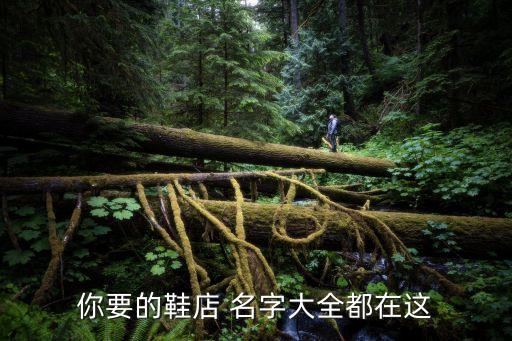 你要的鞋店 名字大全都在這