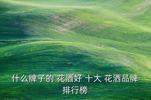 國(guó)內(nèi)十大品牌衛(wèi)浴花灑,衛(wèi)浴花灑的十大排名