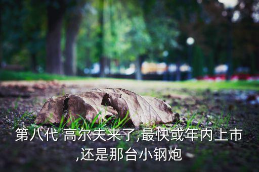 第八代 高爾夫來了,最快或年內(nèi)上市,還是那臺小鋼炮