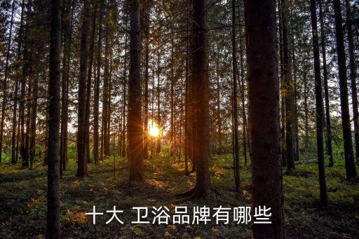 十大 衛(wèi)浴品牌有哪些