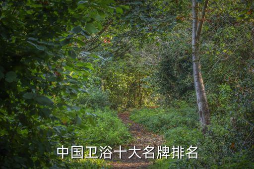 中國(guó)衛(wèi)浴十大名牌排名