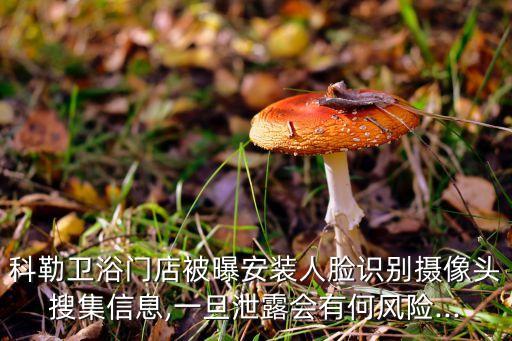 科勒衛(wèi)浴門店被曝安裝人臉識(shí)別攝像頭搜集信息,一旦泄露會(huì)有何風(fēng)險(xiǎn)...