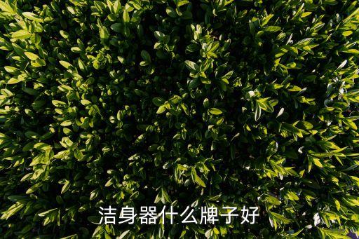 潔身器什么牌子好